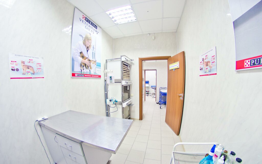 Ветеринарная Клиника Доктор Ай И Ой, Ветеринарная Клиника, Ул. Тамары  Ильиной, 1Б, Тверь, Россия — Яндекс.карты