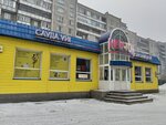 New-Ton (Şäkärim Qudayberdiulı avenue, 54А), auto parts and auto goods store