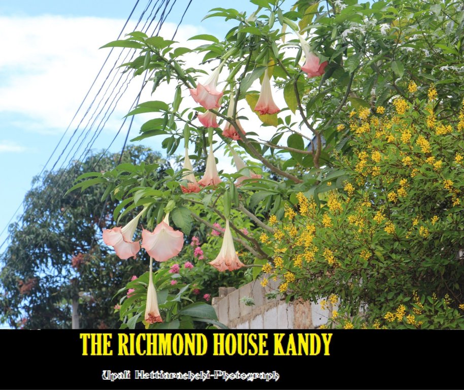 Фото The Richmond House Grand