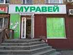 Магазин Муравей Сочи Официальный Сайт
