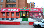 Цветоград (ulitsa Chervishevskiy Trakt, 90/1), flower shop