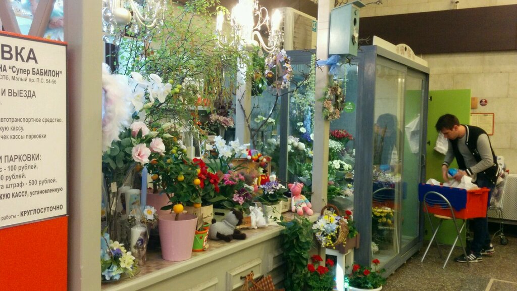 магазин цветов теплица спб