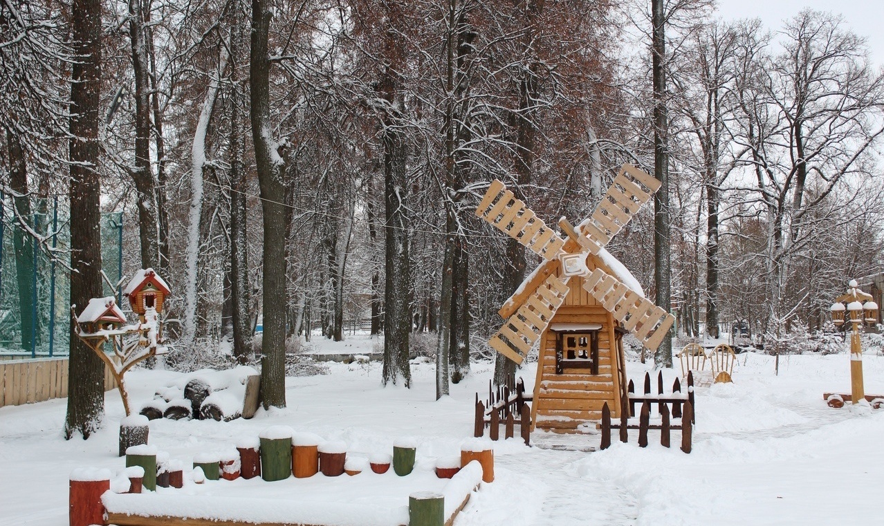 Фото Ясенки