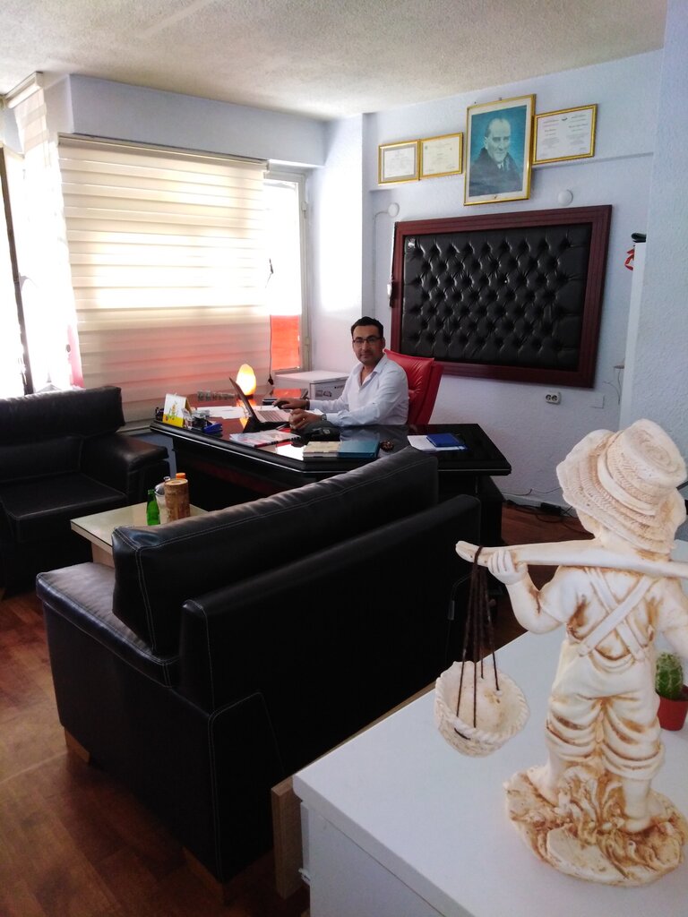 Map production Kararmaz Mapping Engineering, Adana, photo