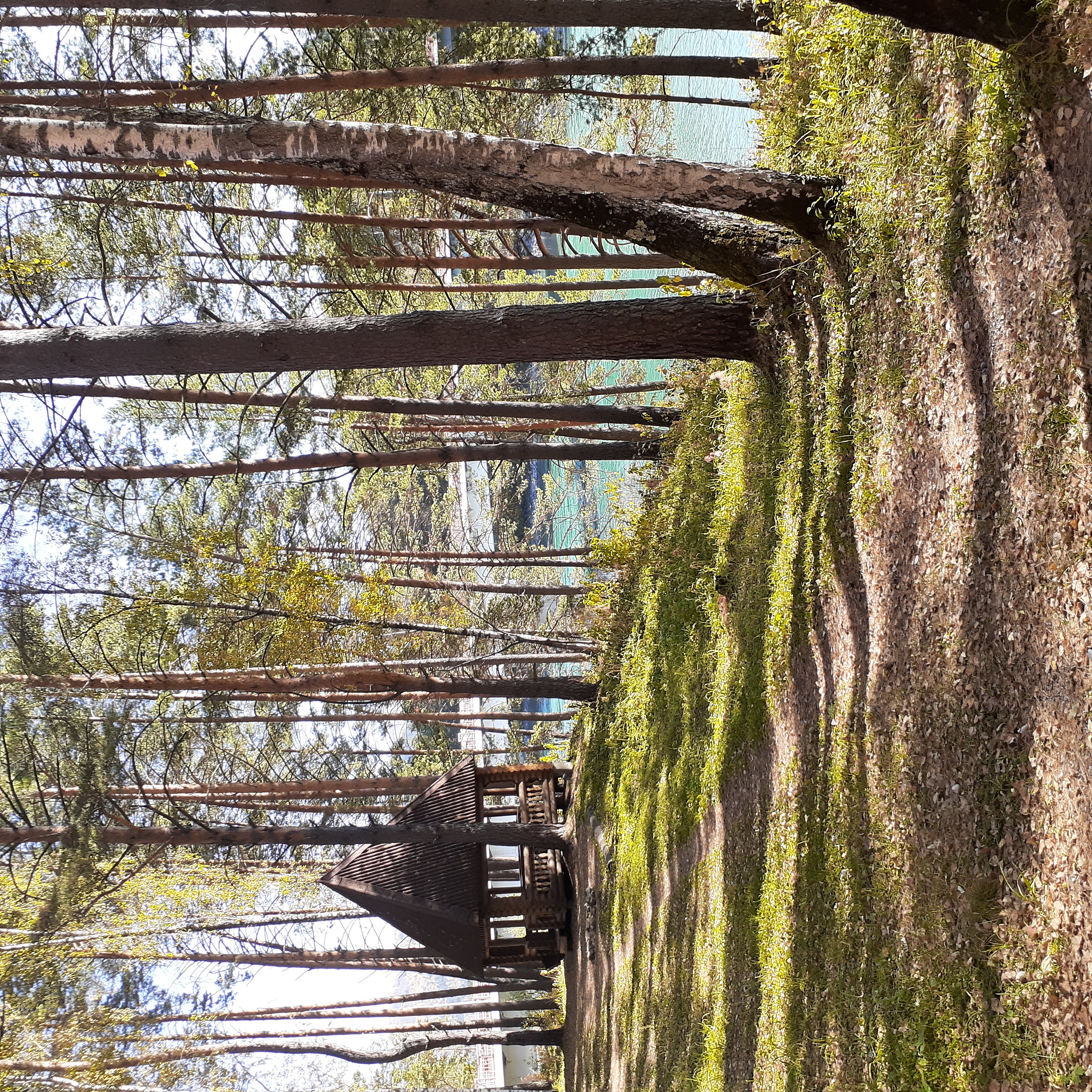 Фото Сердце Алтая