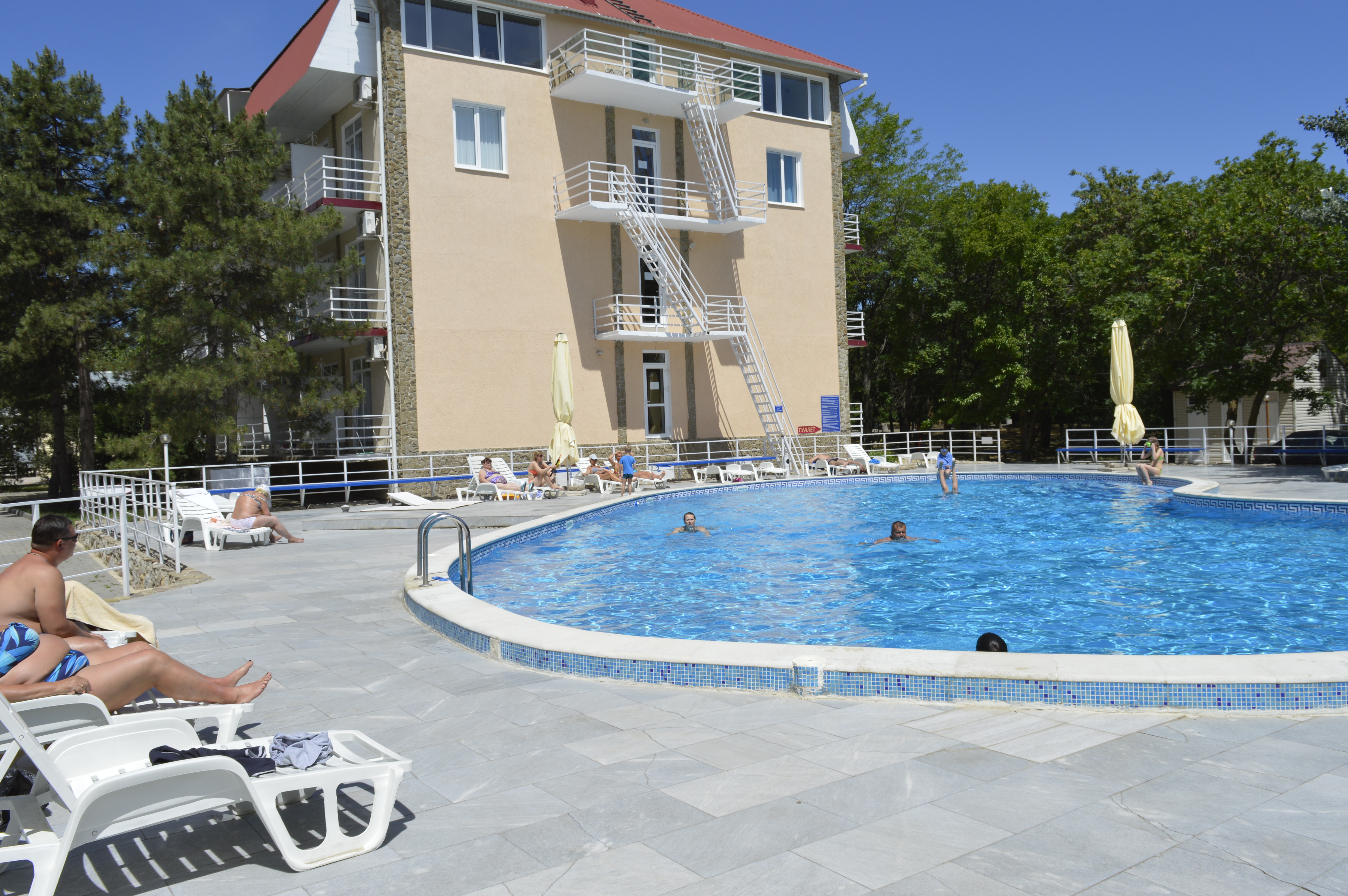 Фото Камелия-Кафа