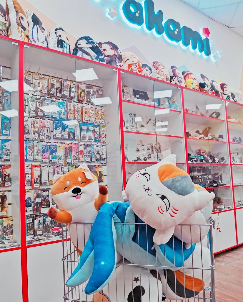 Аниме-магазин Аками, Волгоград, фото