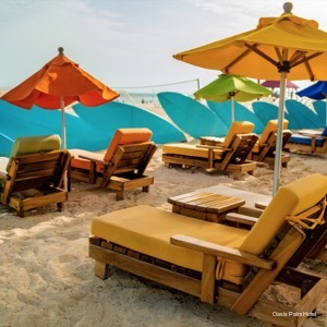 Фото Grand Oasis Palm