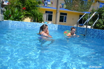 Фото Кипарис