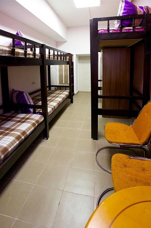 Фото Вежливый Лось на Туристской