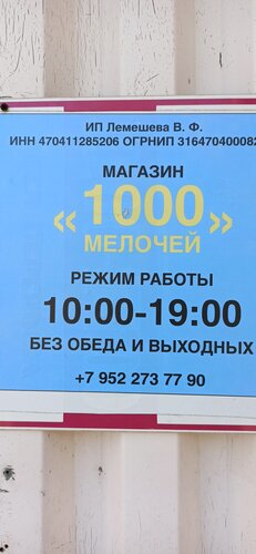Household goods and chemicals shop 1000 Мелочей, Saint‑Petersburg and Leningrad Oblast, photo