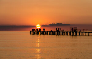 Морская звездочка & Crazy Bar (Naberezhnaya ulitsa, 67), cafe