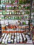 Сезон у дачи (Gubkina Street, 25Б), seed shop