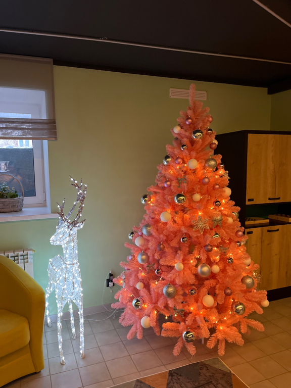 Фото Бутик-отель № 19