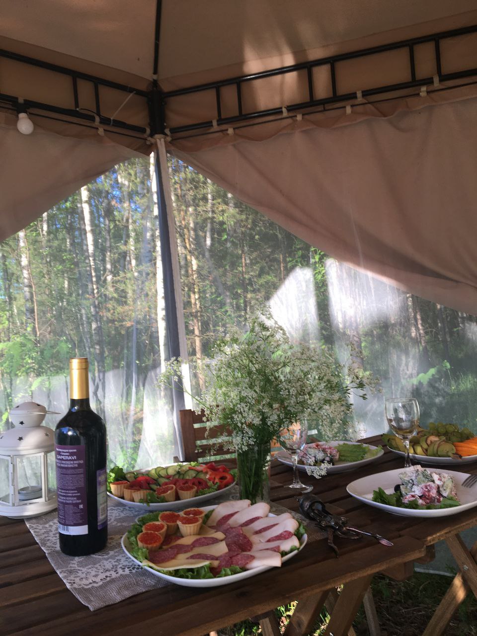 Фото Берег Грифона