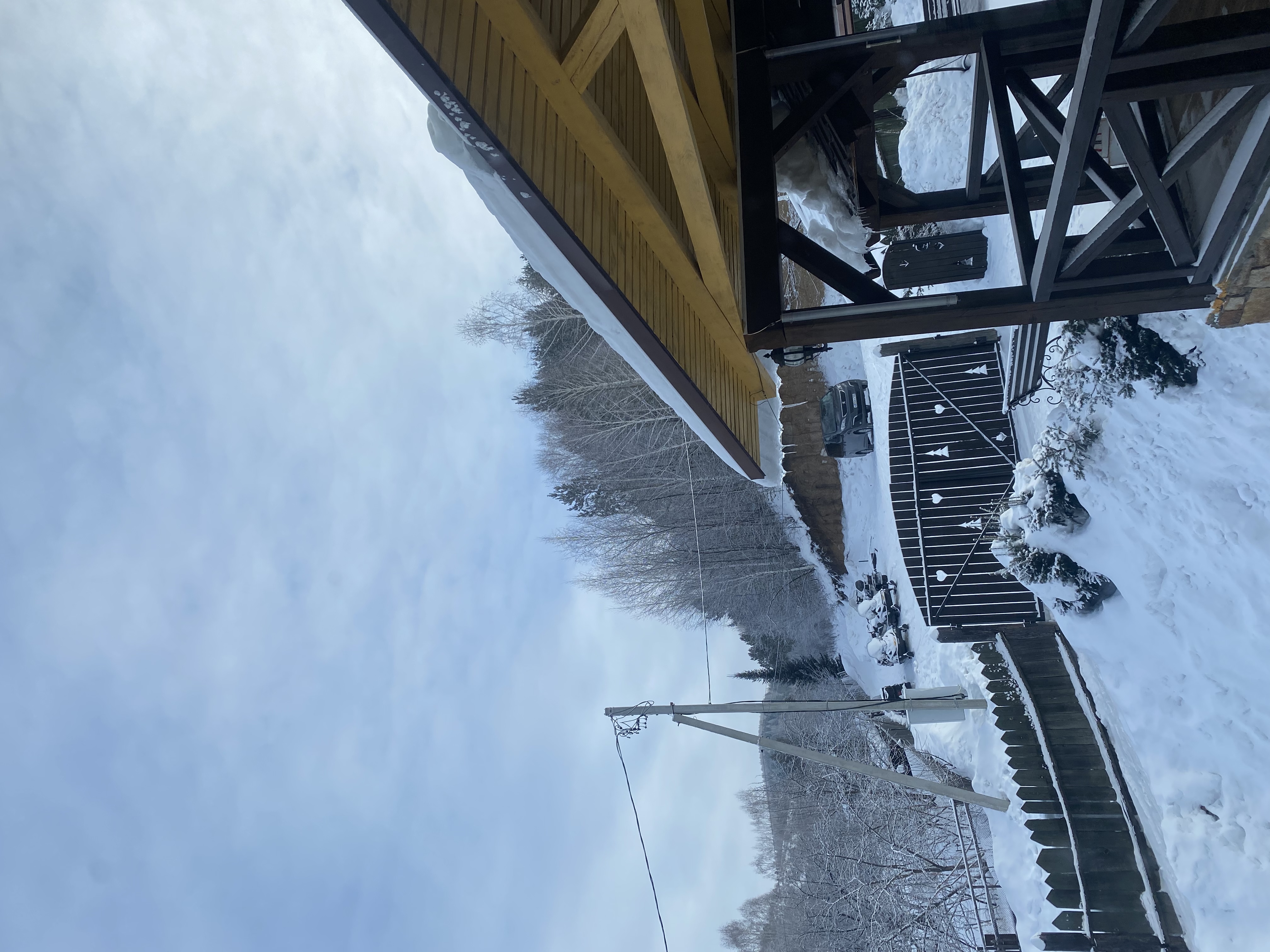 Фото Яковка