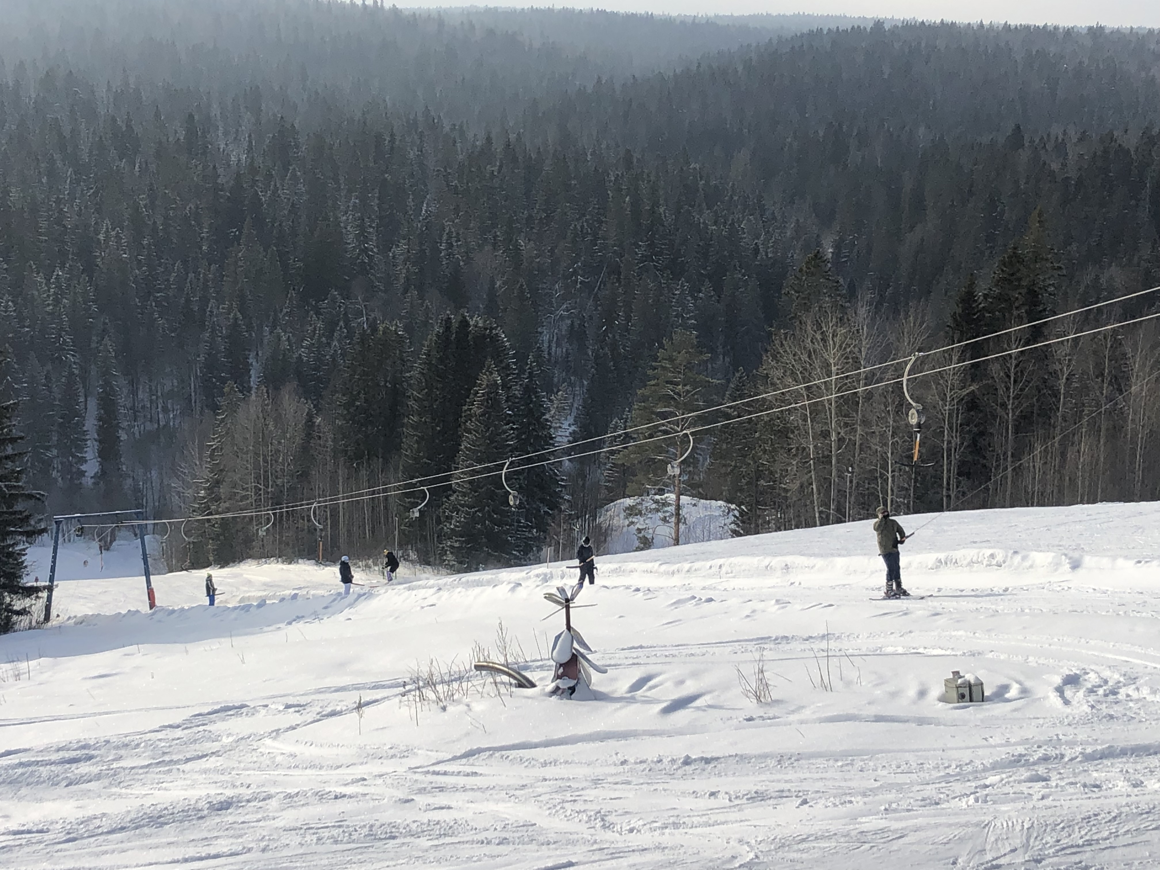 Фото Снегири