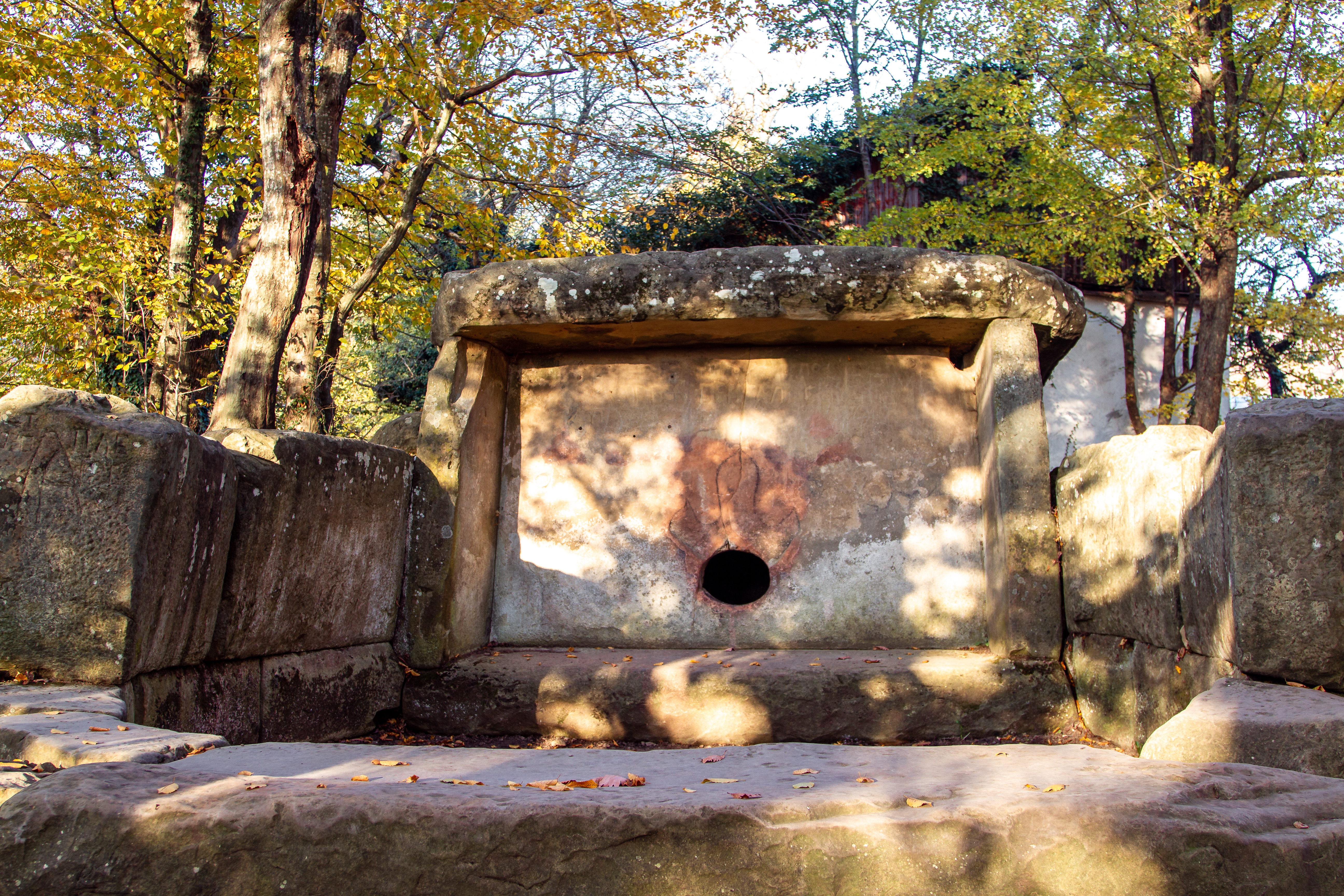 Фото Парк-отель Джубга