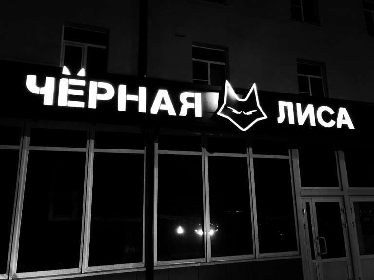 Черный лис просп победы 6 фото
