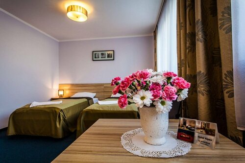 Гостиница Hotel Alpex View в Забже