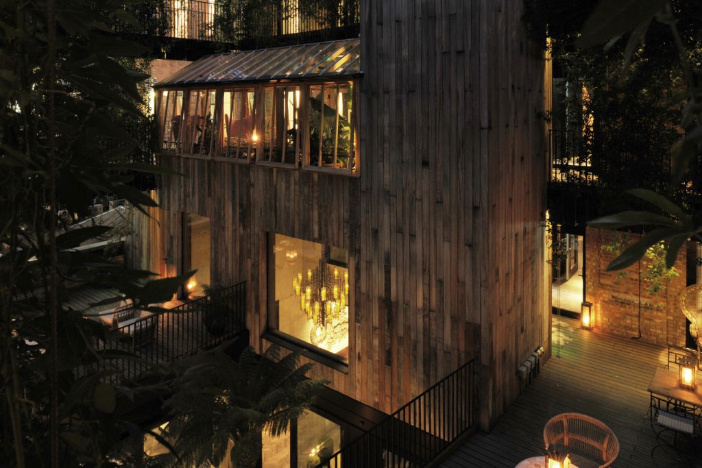 Фото The Mandrake