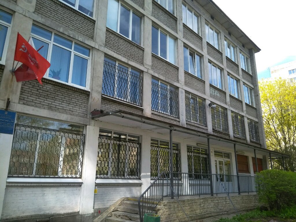 Гимназии санкт петербурга