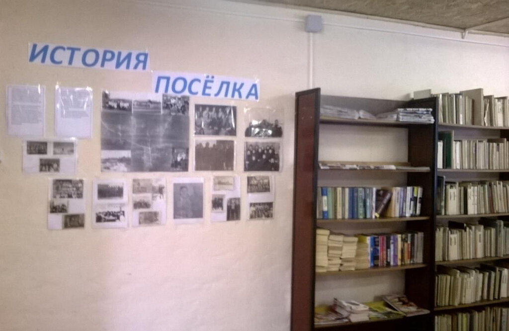 مكتبة Абросимовская сельская библиотека-филиал № 11 ، مقاطعة كوستروما، صورة