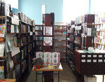 Еленовская сельская библиотека-филиал № 6 (selo Yelenovskoye, Molodyozhnaya ulitsa, 2), library