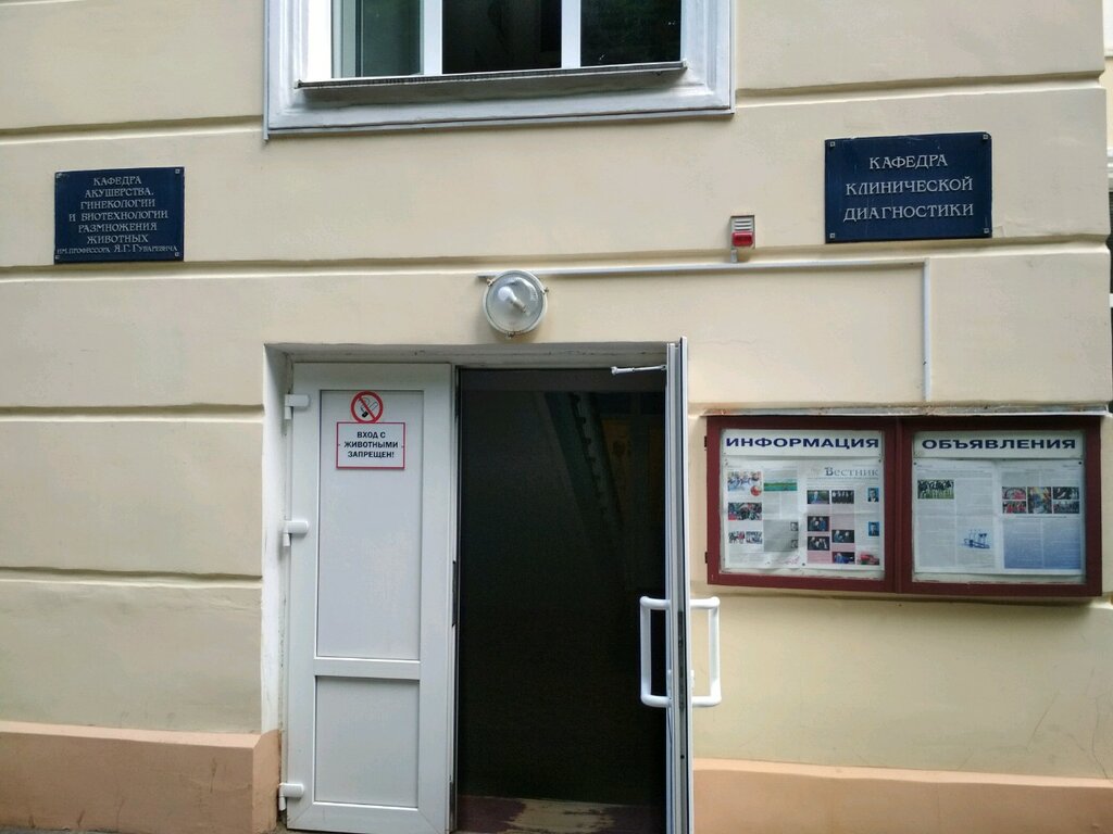 Infraestructura educativa Podgotovitelnoye otdeleniye Uo Vitebskaya Gosudarstvennaya akademiya Veterinarnoy Meditsiny, , foto