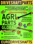 Agriparts Global (vulytsia Pidvodnyka Kytytsyna, 17), auto parts and auto goods store