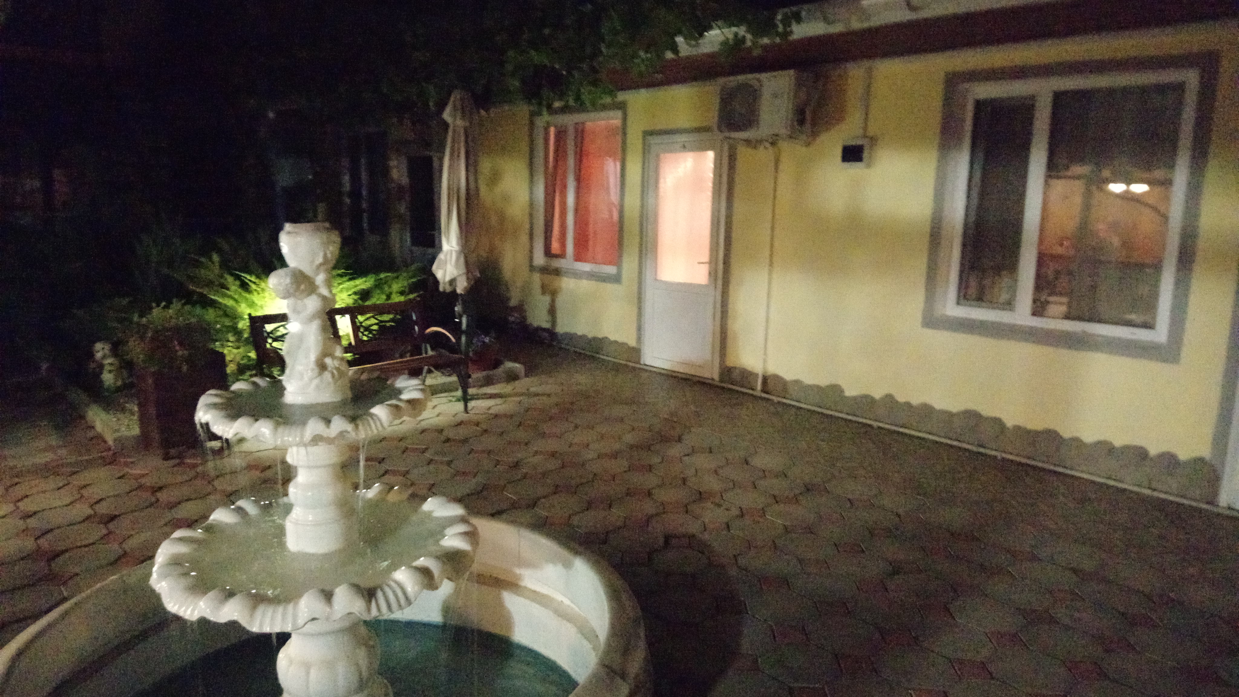 Фото Афалина