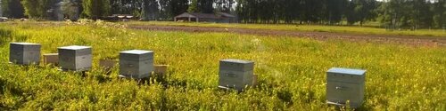 Товары для пчеловодства Уголок пчеловода, Кондрово, фото
