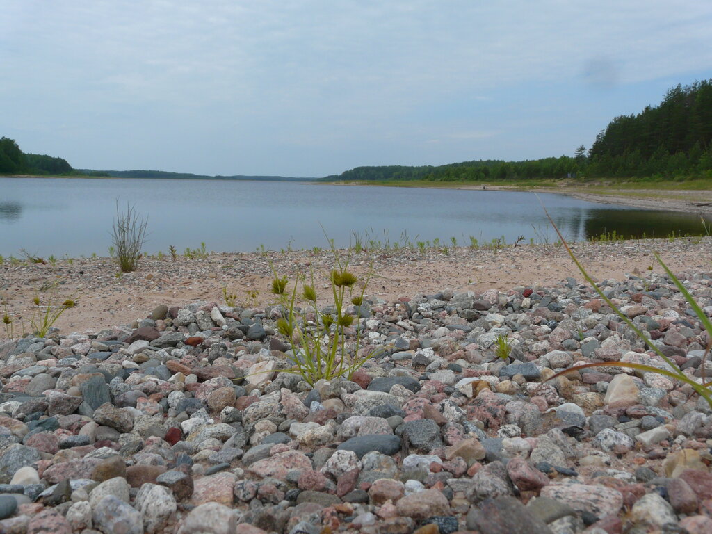 Озеро городно новгородская
