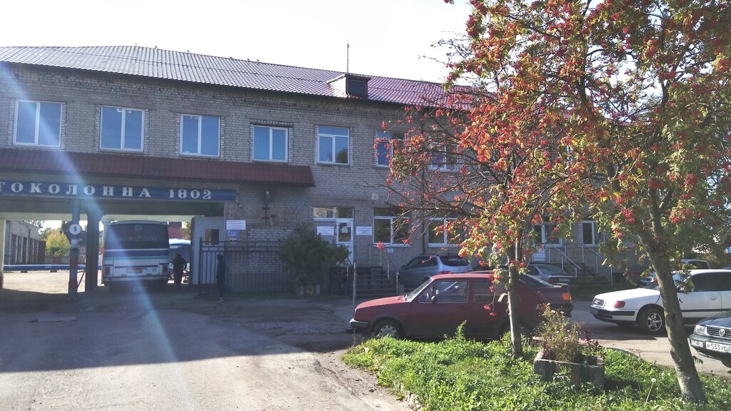 Bus transportation Автобусные междугородные перевозки Гусевские линии, Gusev, photo