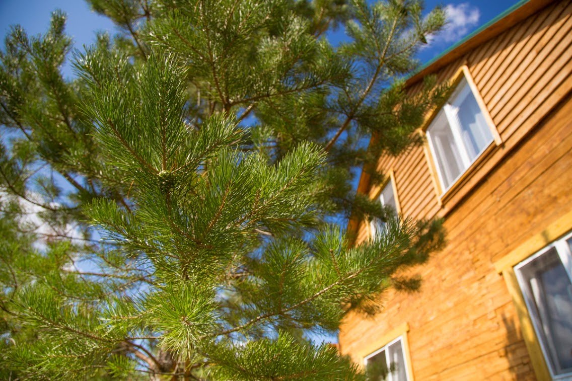 Фото Деревенская усадьба