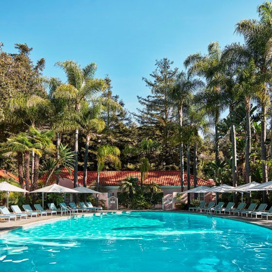 Фото The Dorchester