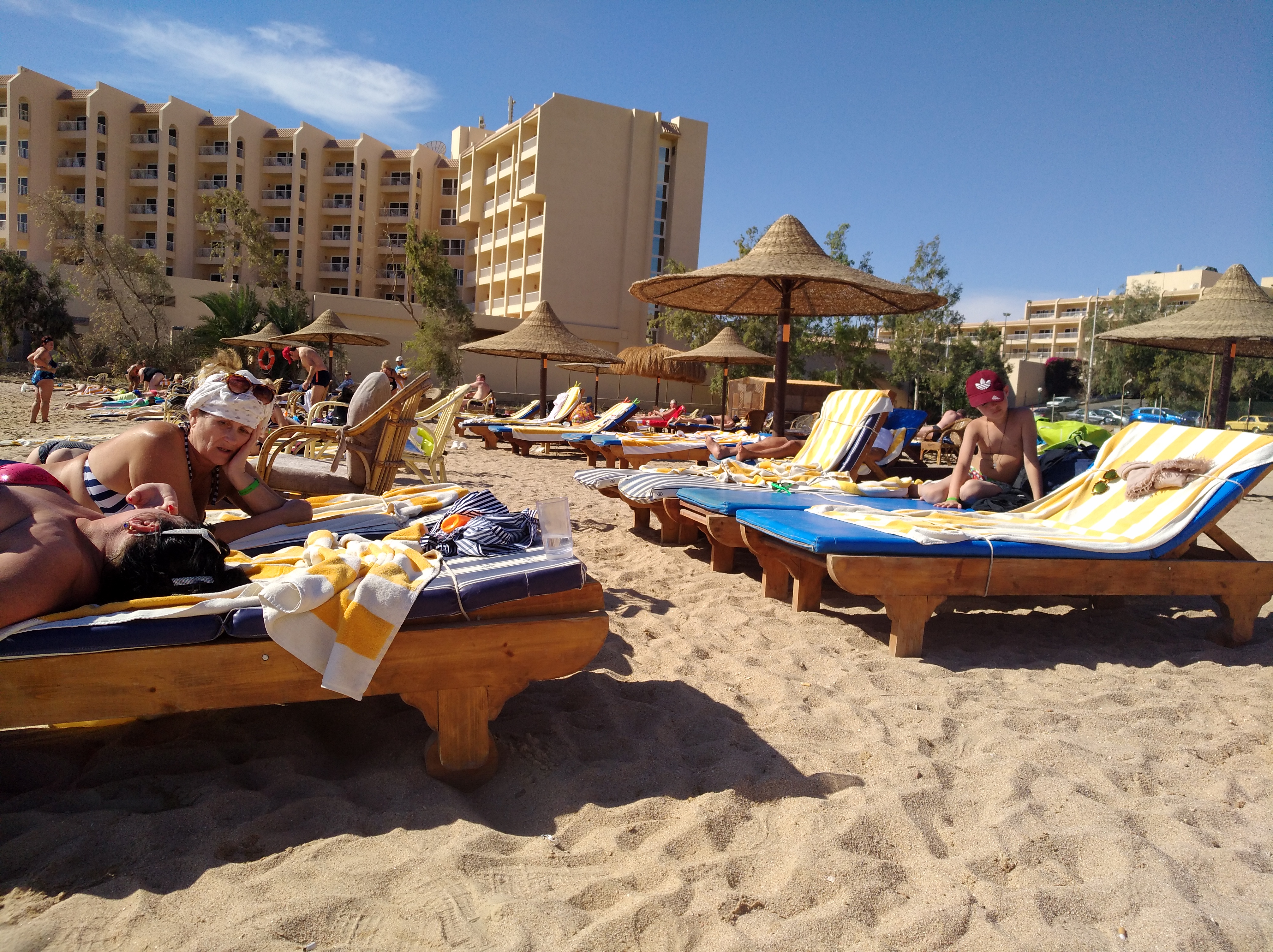 Фото Dexon Roma Hotel