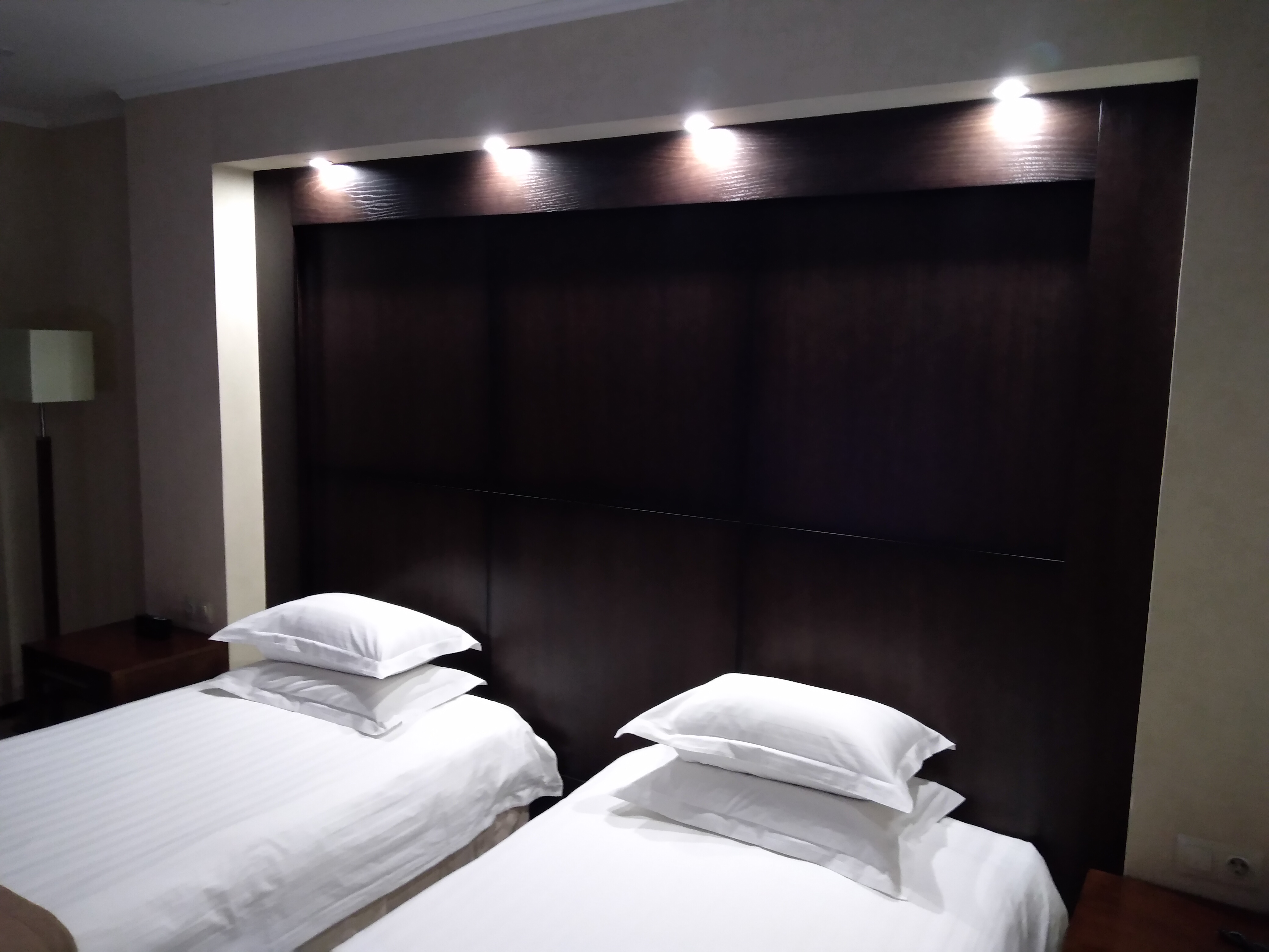 Фото Сагаан Морин