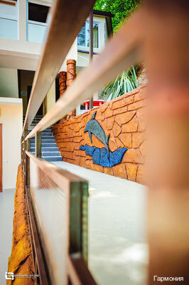 Фото Гармония