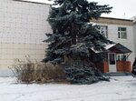 Сэлмон (M-5 Ural, 196-y kilometr, 11) ، الأعمال الكهربائية