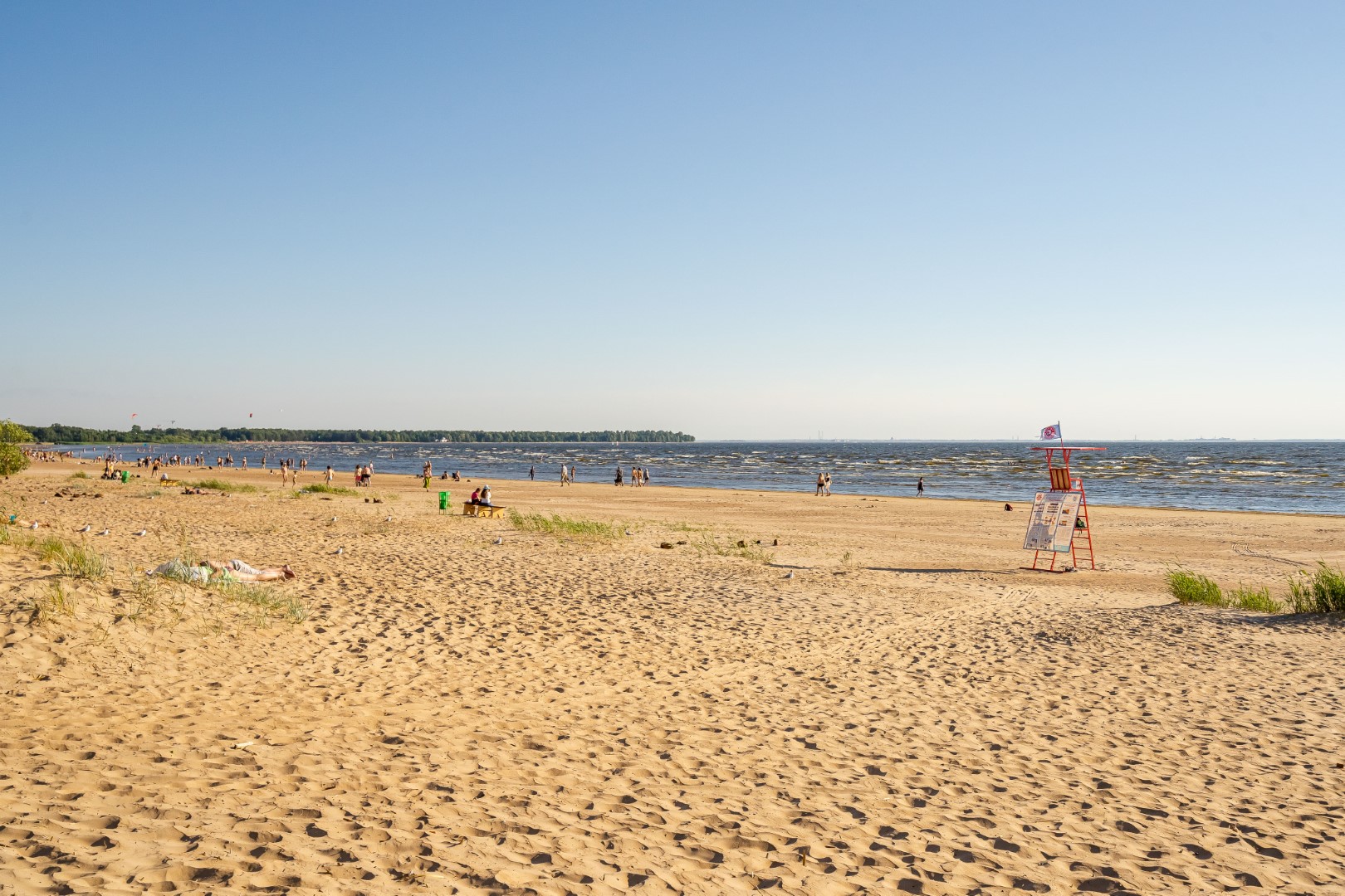 Фото Абрикосовое дерево на Максима Горького 2а СТР. 3
