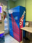 Ozon box (Respubliki Street, 158), parcel automat