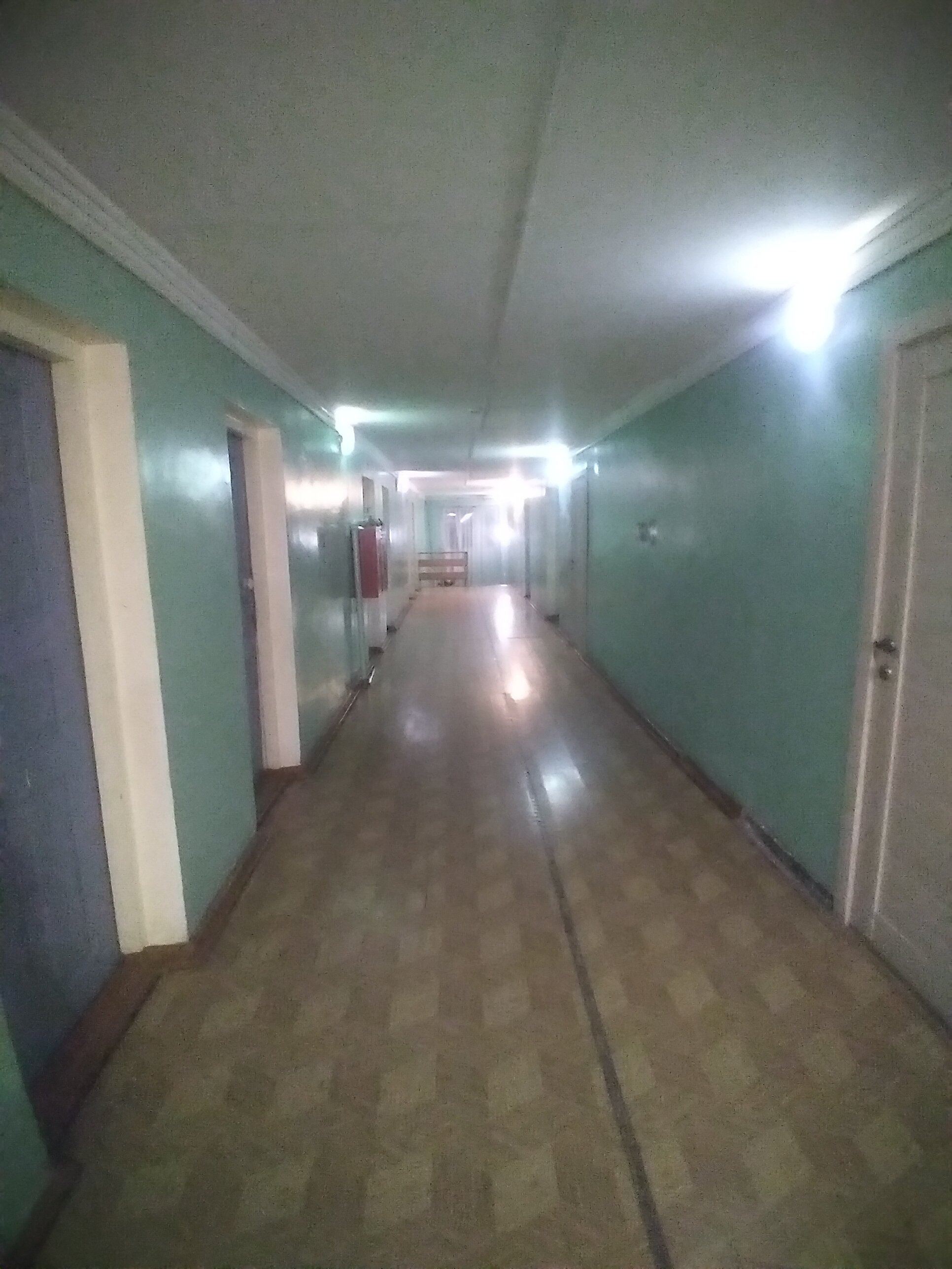 Фото Каргополочка