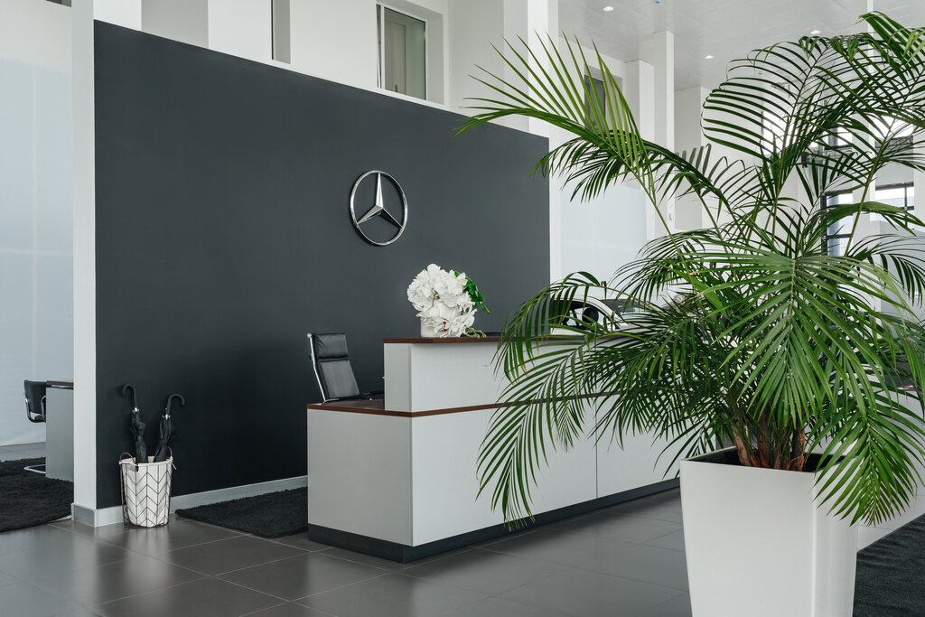 Exposición de coches MB-Vladimir - official dealer of Mercedes-Benz, , foto
