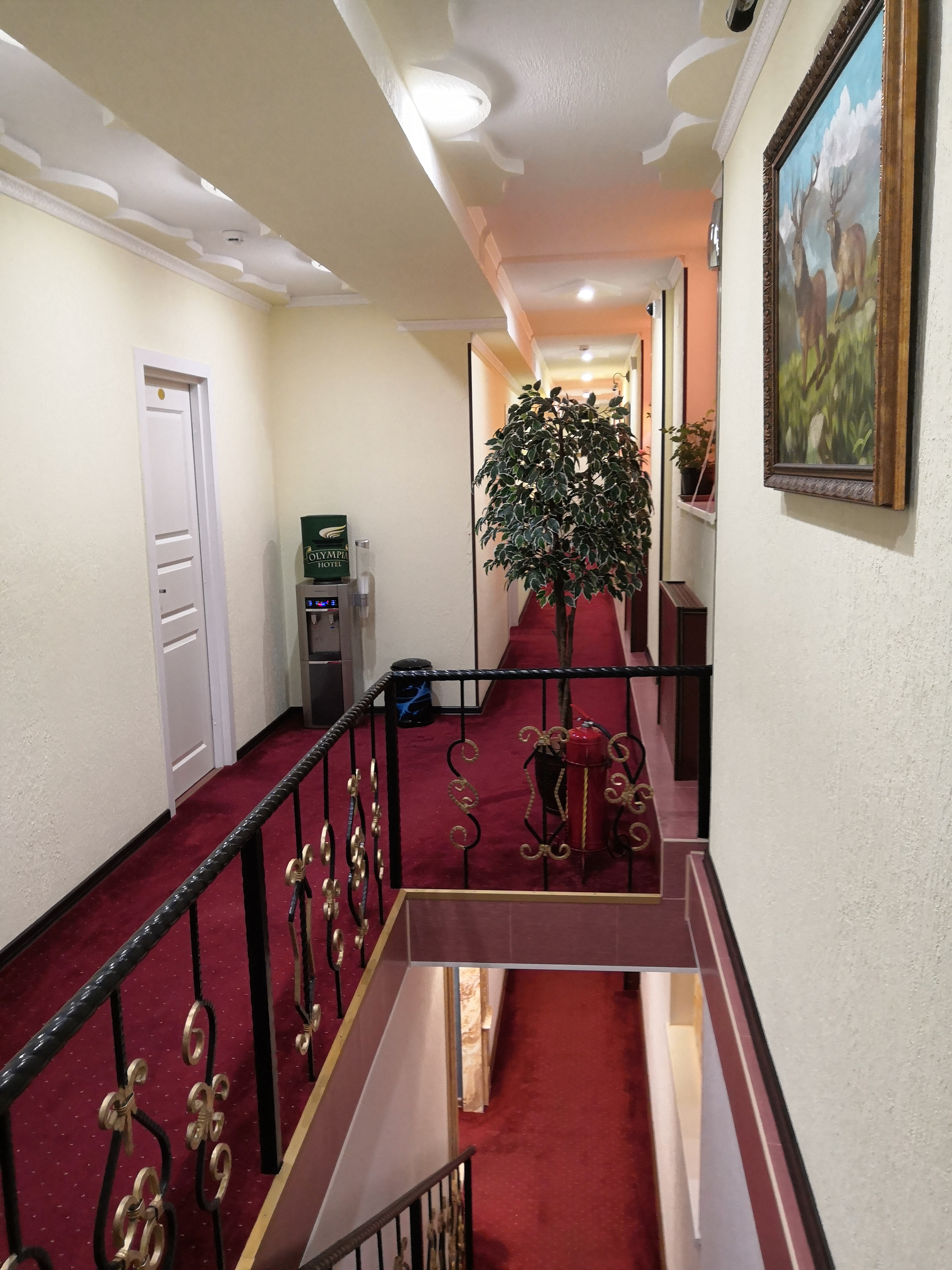 Фото Олимпия