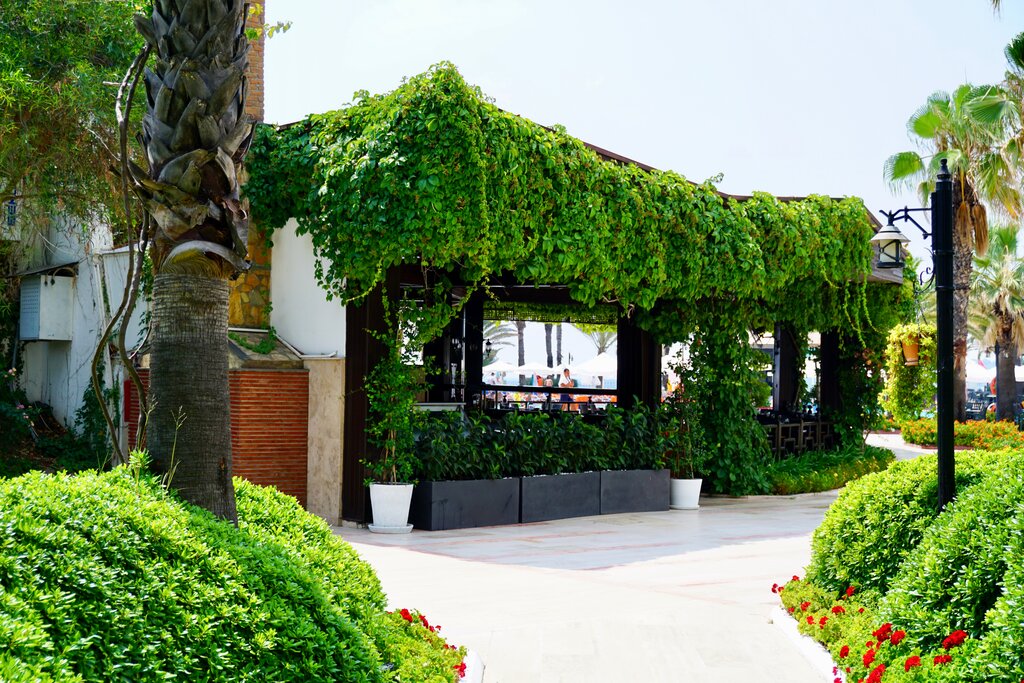 Bar, pub Lobby Bar - Simena Sun Club, Kemer, photo