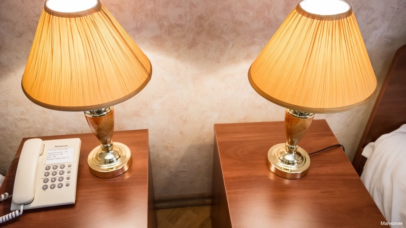 Фото Магнолия