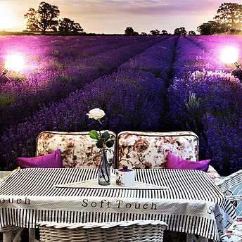 Фото Бутик-Отель Прованс