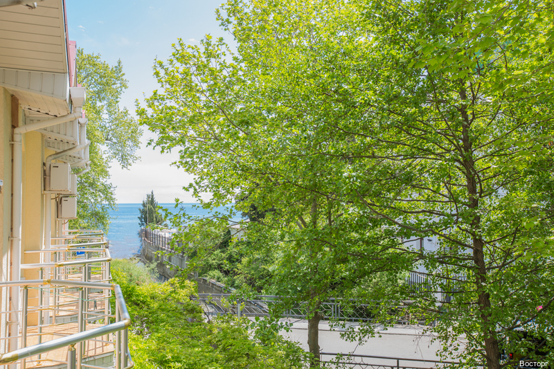 Фото Восторг