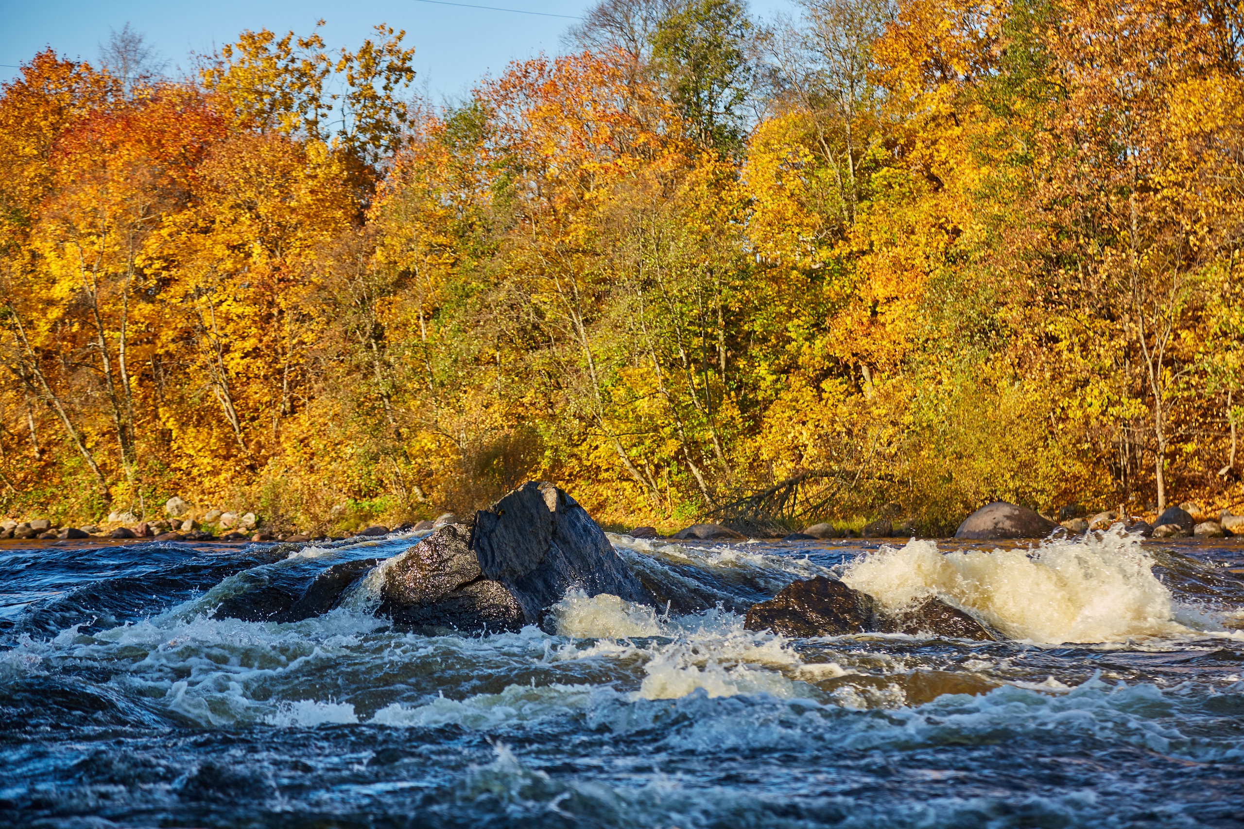 Фото Угребись